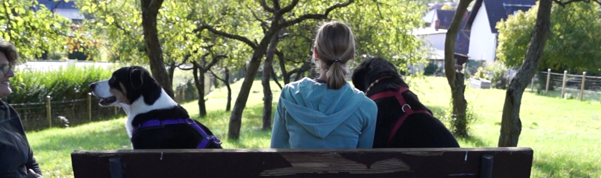 Eva mit Kunde und zwei Hunden auf einer Bank